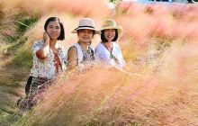 均安南沙村沙滩