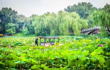 紫竹院公园