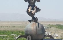 世芬绿色蟠桃园