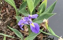 五缘湾文谷旅游区