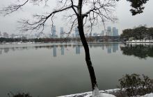 天鹅湖公园书舍