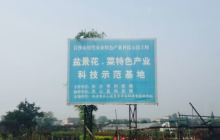 新憧憬园艺生产基地