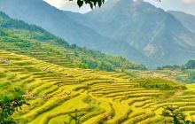 云和梯田景区九曲云环