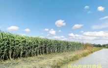 田仓农庄