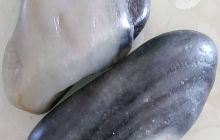 万昶奇石馆
