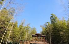 陶祖圣境-竹尖长廊