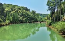 大山冲森林公园