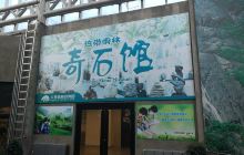 热带雨林奇石馆