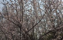 五四运动北洋大学旧址