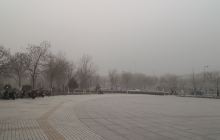 塔里木石油物探展览