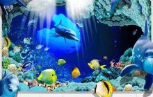 马良画画-水族馆