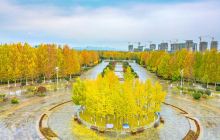 京襄城遗址生态园