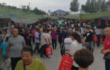 农博园植物展区