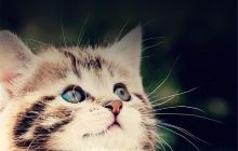 可人美术学校展览馆