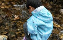 渭河源国家森林公园