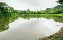 凤凰山森林公园