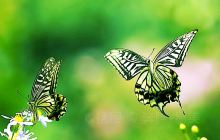 交易城中心广场