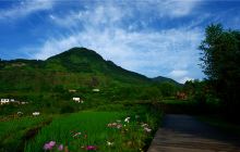 石菊古地旅游景区