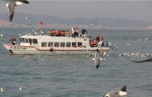 神龙仙岛海上主题公园