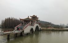 桃花岛
