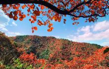 甘山国家森林公园