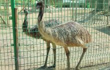 梦里水乡百花园