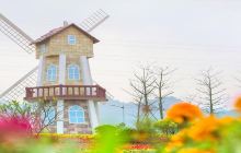 爱丽丝仙境花海