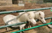 文昌湖野生动物园