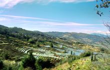 箐口哈尼民俗村