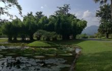 西双版纳热带雨林自然保护区