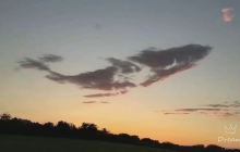 星期九夏岩阳光绿都生态园