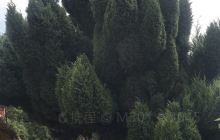 云南省曲靖市图书馆