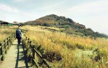 野三坡白草畔景区