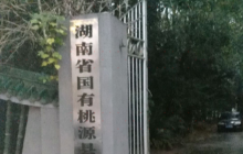 炎皇御酒活动中心