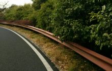 蠡湖国家湿地公园-宝界公园