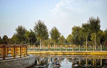 滹沱河生态旅游景区-跑马场