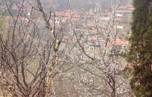 峨庄瀑布群景区