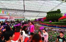 中国（青州）花卉博览交易会