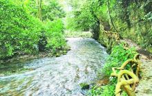 大王岭原始森林