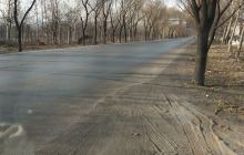 金港湾休闲广场