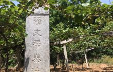 隋文帝陵