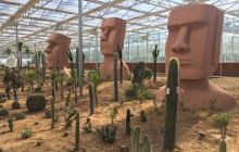 寻乌蔬菜主题文化园