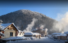 赵一曼烈士生平事迹