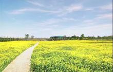 神农现代农业示范园