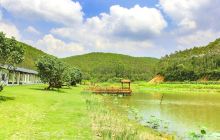 虎鼻顶