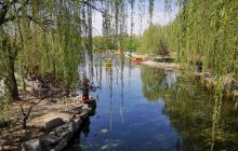 望龙湖湿地公园