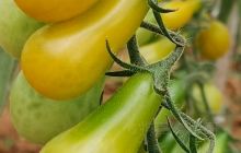 深圳包装印刷博物馆