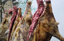 桃源金水岸步行街