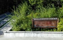 红松林森林公园