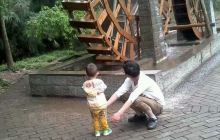 峨眉山金丝楠博物馆